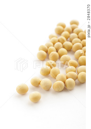 大豆 2848370