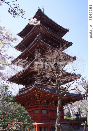 旧・寛永寺五重塔 旧・寛永寺五重塔 2849161