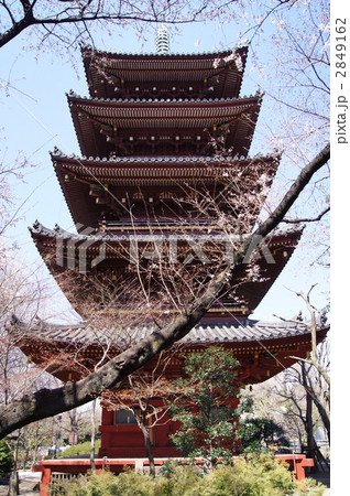 旧・寛永寺五重塔 旧・寛永寺五重塔 2849162