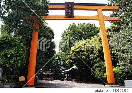 氷川神社 鳥居 氷川神社 鳥居 2849196