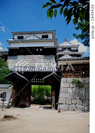 松山城 紫竹門 松山城 紫竹門 2849430