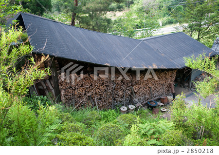 信楽焼 穴窯(狸型穴窯) 清右衛門陶房 信楽焼 穴窯(狸型穴窯) 清右衛門陶房 2850218