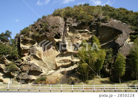虫喰岩 虫喰岩 2850228