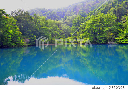 新潟県　しろ池の森 2850303