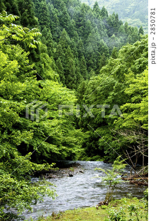 湯川渓谷 2850781