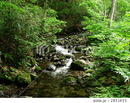 青森県平川市　温川渓流 2851655