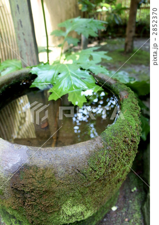 水がめ 苔 水がめ 苔 2852370
