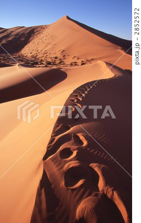 サハラ砂漠 サハラ砂漠 2852572