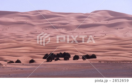 サハラ砂漠 2852659