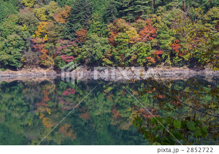 奥多摩湖に映る紅葉 2852722