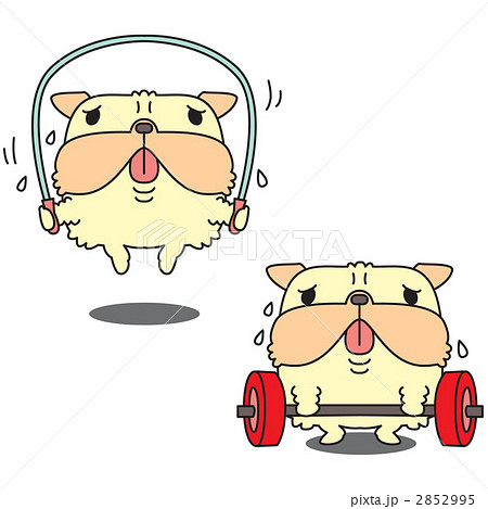 運動不足のメタボリックシンドローム 運動不足のメタボリックシンドローム 2852995