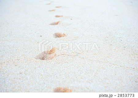 足跡（夏イメージ） 2853773