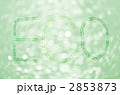 エコ 2853873
