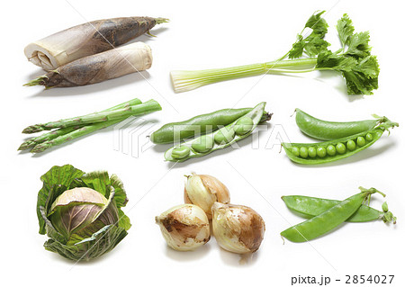 春野菜 2854027