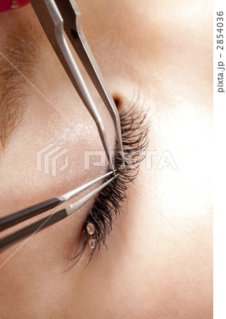 睫毛エクステ 睫毛エクステ 2854036