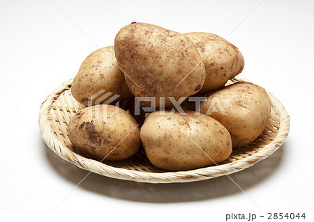 ザルに盛られた白背景の新ジャガイモ ザルに盛られた白背景の新ジャガイモ 2854044