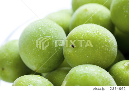 梅の実 2854062