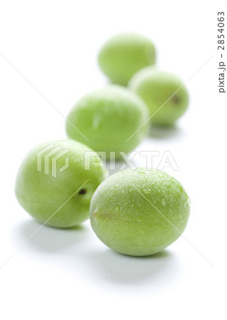 梅の実 梅の実 2854063