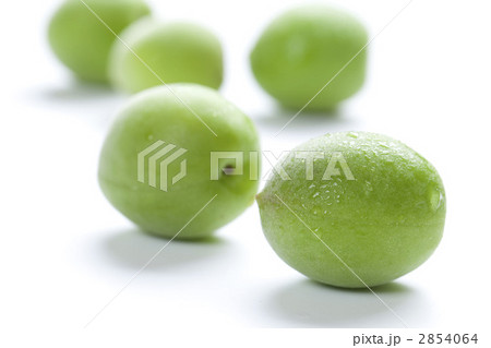 梅の実 2854064