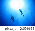 2854955