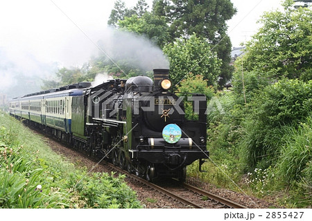 C57快走 2855427