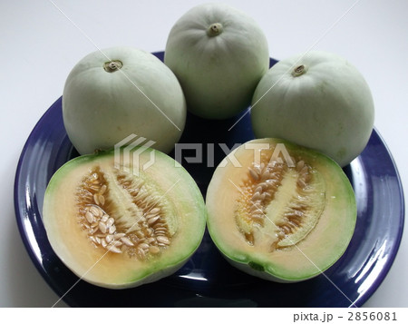 夏の味覚　プリンスメロン 2856081