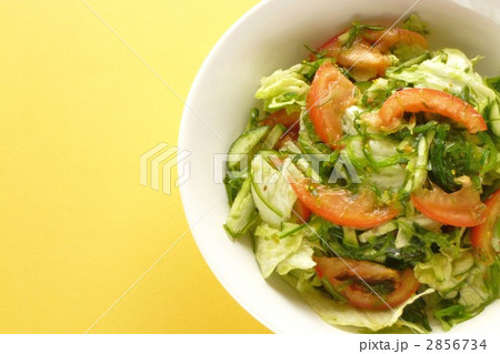 めかぶの野菜サラダ めかぶの野菜サラダ 2856734