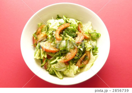 めかぶの野菜サラダ 2856739