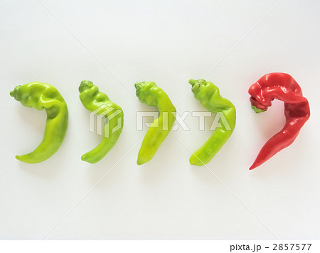 甘トウガラシ 2857577