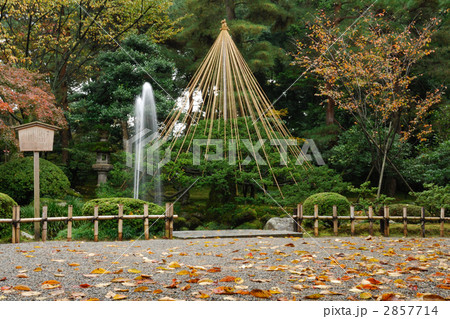 兼六園の噴水と雪吊り 2857714