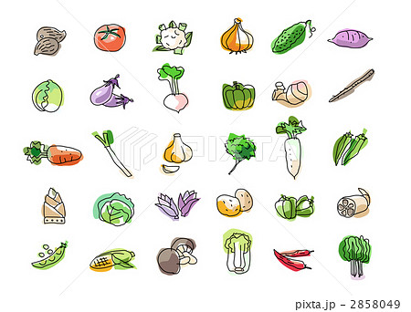 野菜ー30種 野菜ー30種 2858049