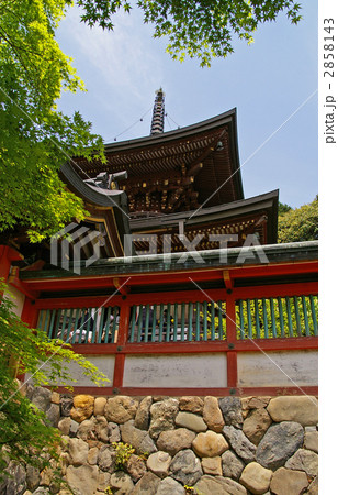 神護寺 多宝塔 神護寺 多宝塔 2858143