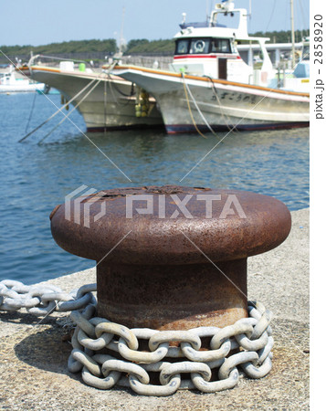 ピット ピット 2858920