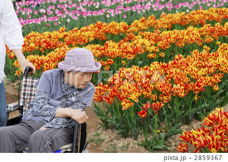 素敵なお婆ちゃん 2859367