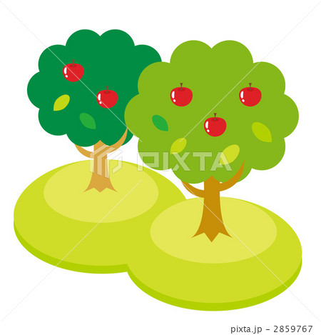 りんごの木 2本のイラスト素材
