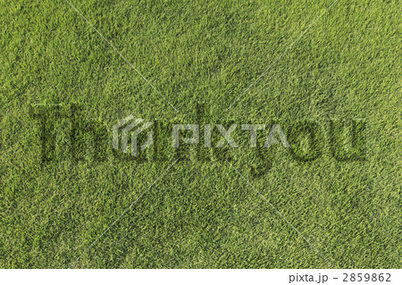 芝生文字 2859862