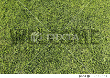 芝生文字 2859864