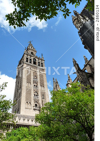 ヒラルダの塔@セビージャ ヒラルダの塔@セビージャ 2860134