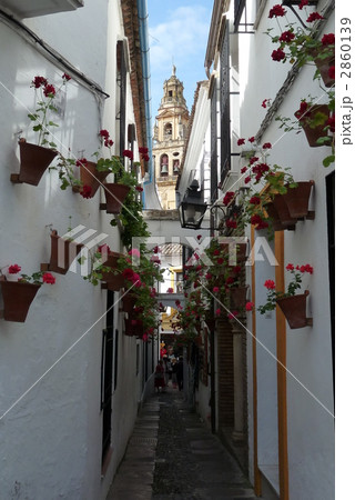 花の小道＠コルドバ 2860139