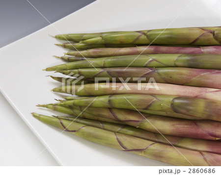 竹の子　姫だけ　ネマガリダケ 2860686