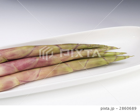 竹の子　姫だけ　ネマガリダケ 2860689