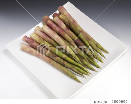 竹の子　姫だけ　ネマガリダケ 2860692