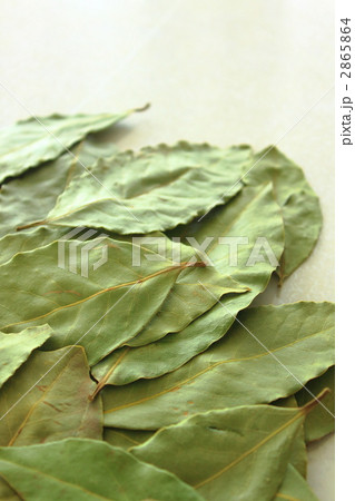 ローリエ 2865864