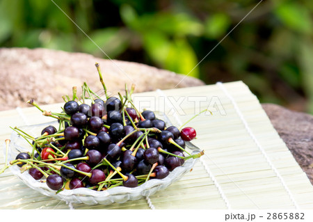 山桜の実 2865882