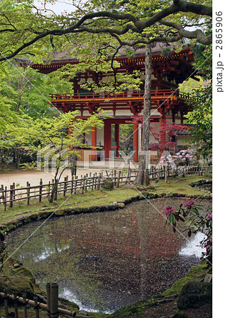 室生寺・仁王門 2865906