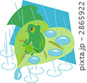 梅雨の雨と蛙 2865922