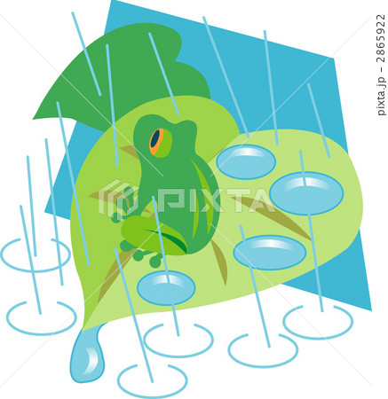 梅雨の雨と蛙 2865922