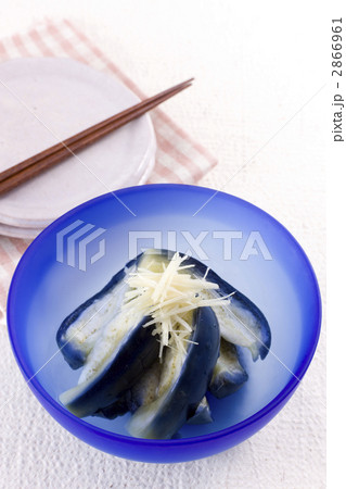 泉州水なす 泉州水なす 2866961