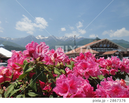 道の駅いいじま 2867376