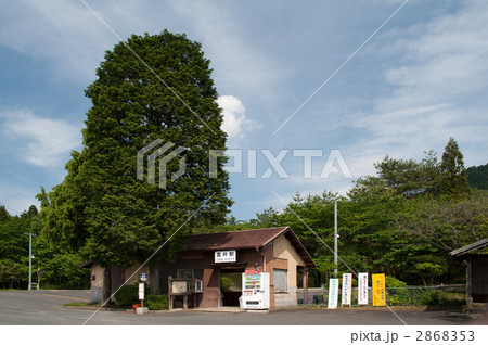 信楽高原鐵道　雲井駅 2868353